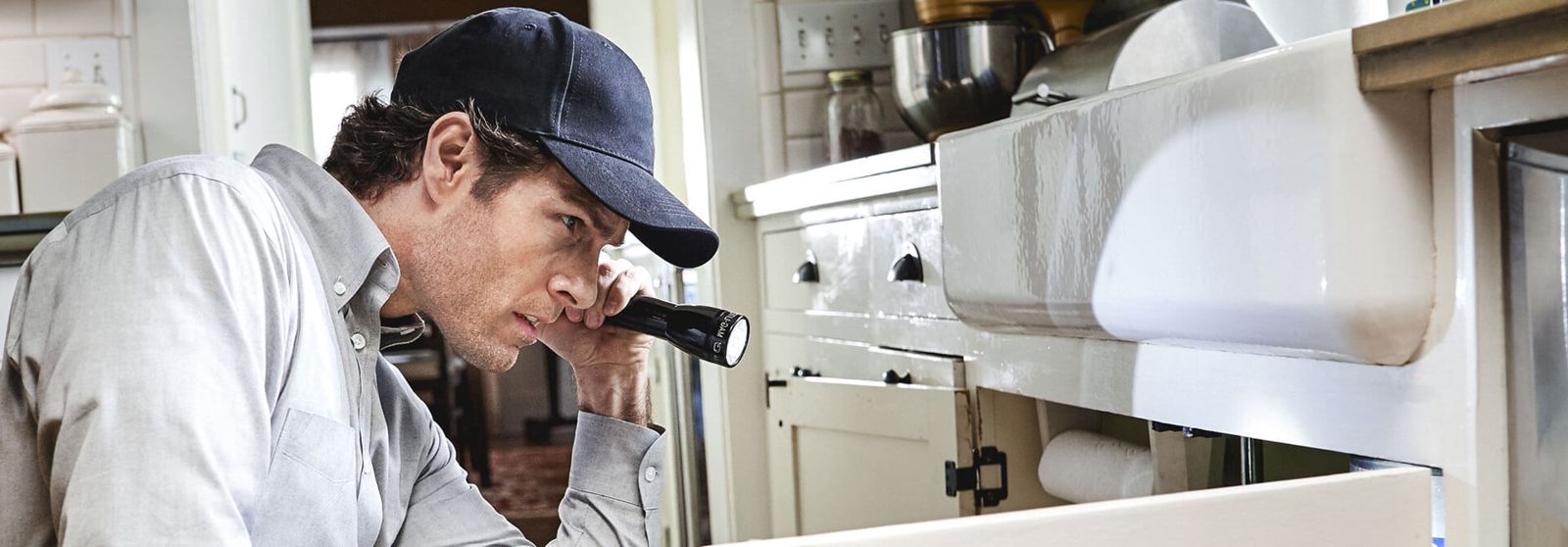 Commercial pest control